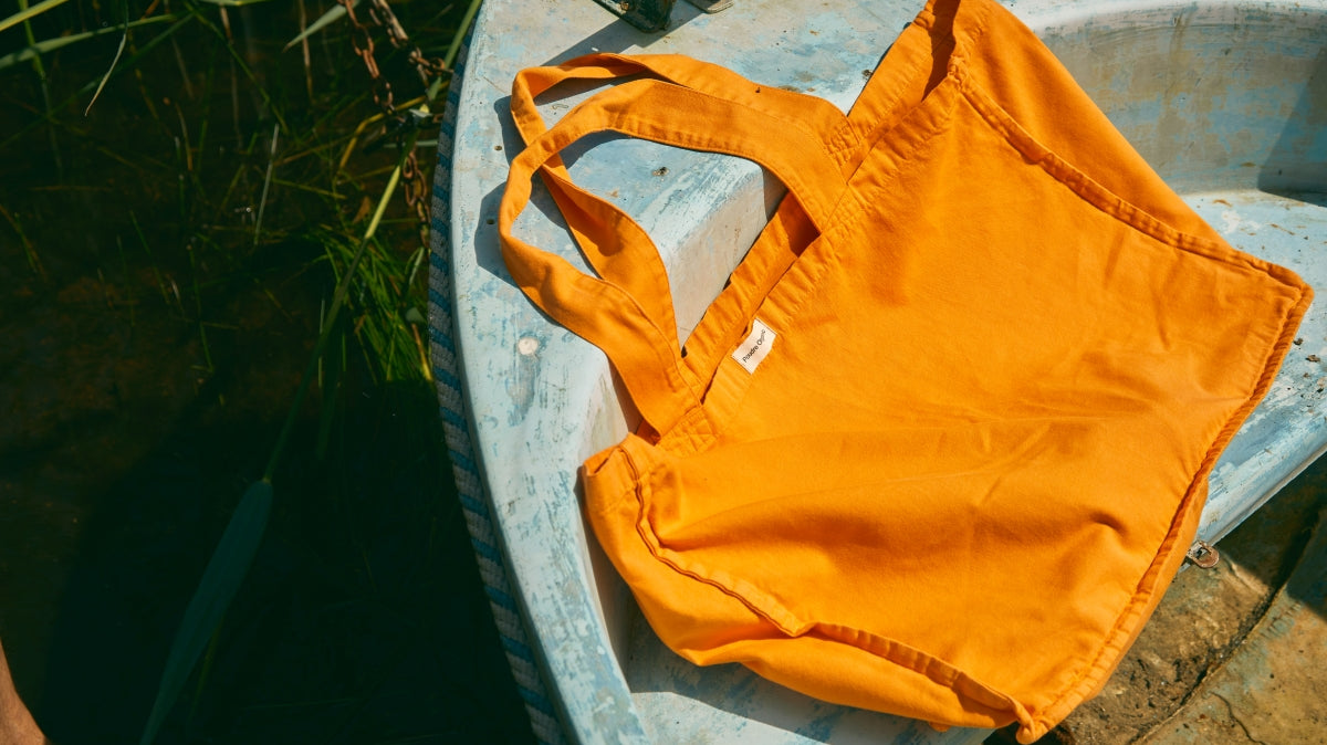 Le parti pris des choses