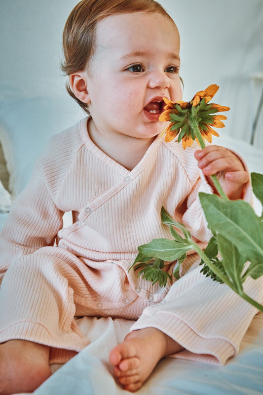 COMBILONG POMME CÔTELÉ Scallop Shell