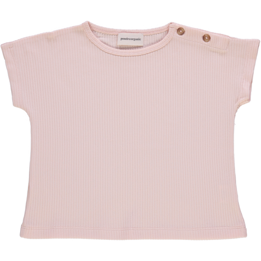 T-SHIRT DIGITAL CÔTELÉ Scallop Shell