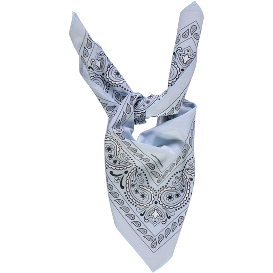 FOULARD BANDANA Baby Blue
