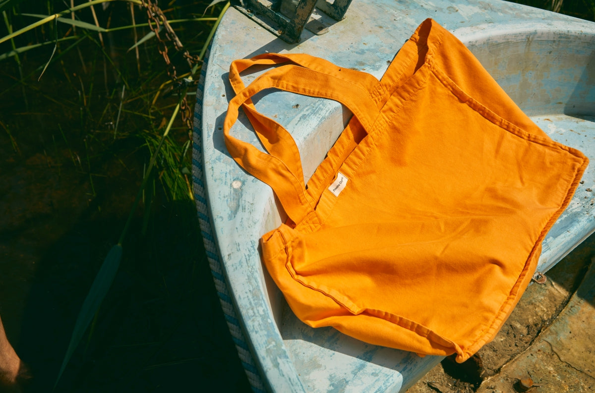 Le parti pris des choses