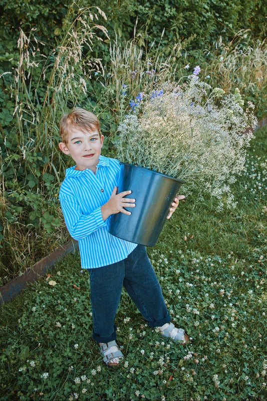 BLOUSE CASSIS Rayures larges bleues/blanches