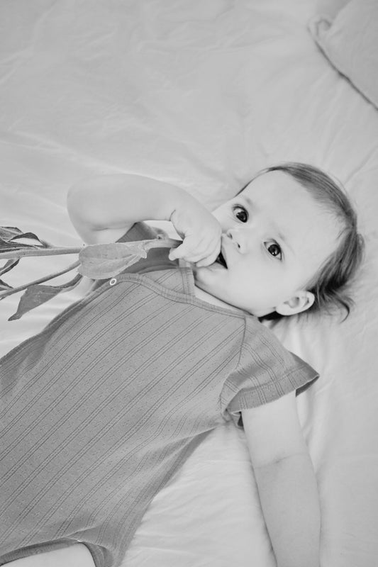 BODY LIERRE POINTELLE MANCHES COURTES Biscotti