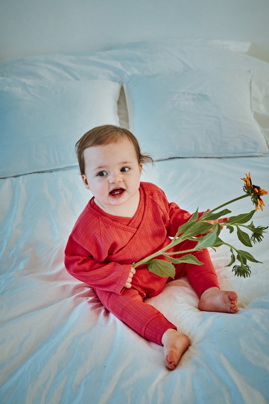 CACHE COEUR CROCUS POINTELLE Red Alert