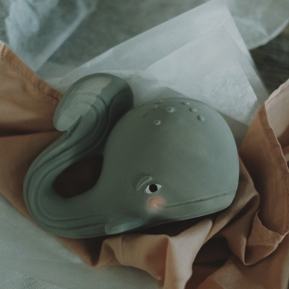 [Gorm la baleine Grise] [Gorm the Grey Whale]