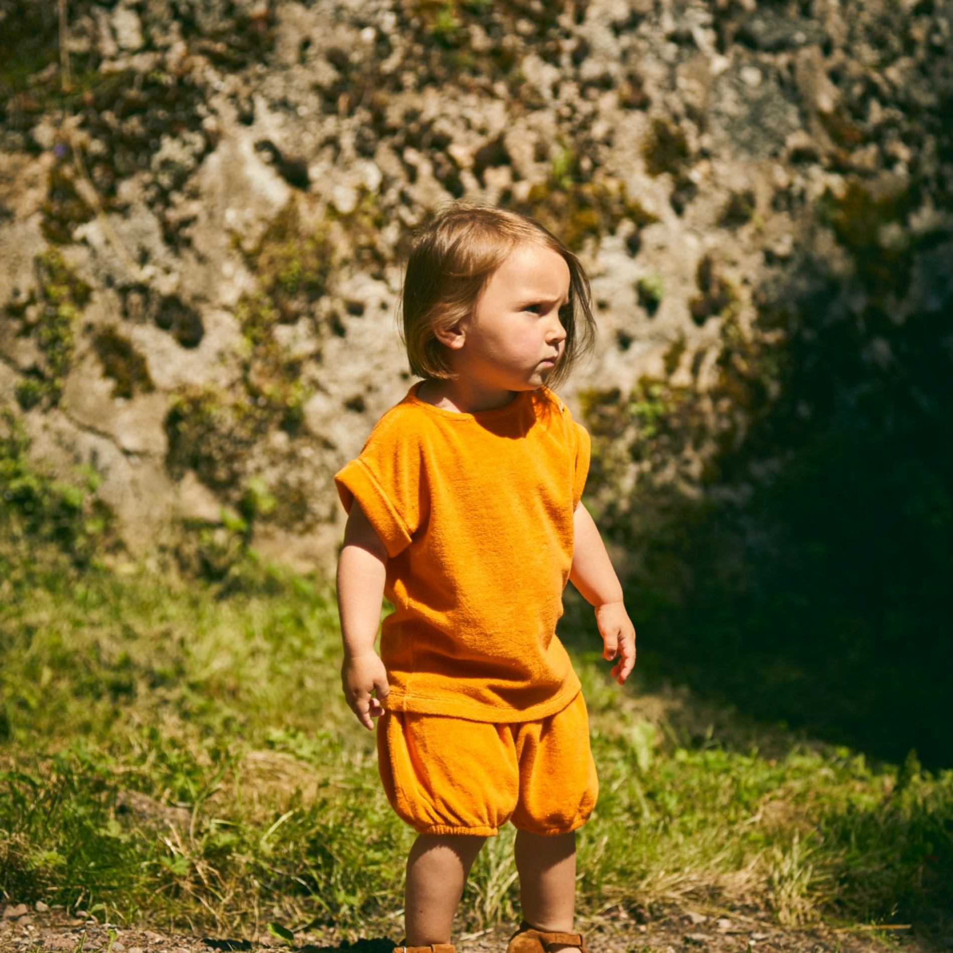 BLOOMER VERVEINE • Éponge [Russet-Orange]