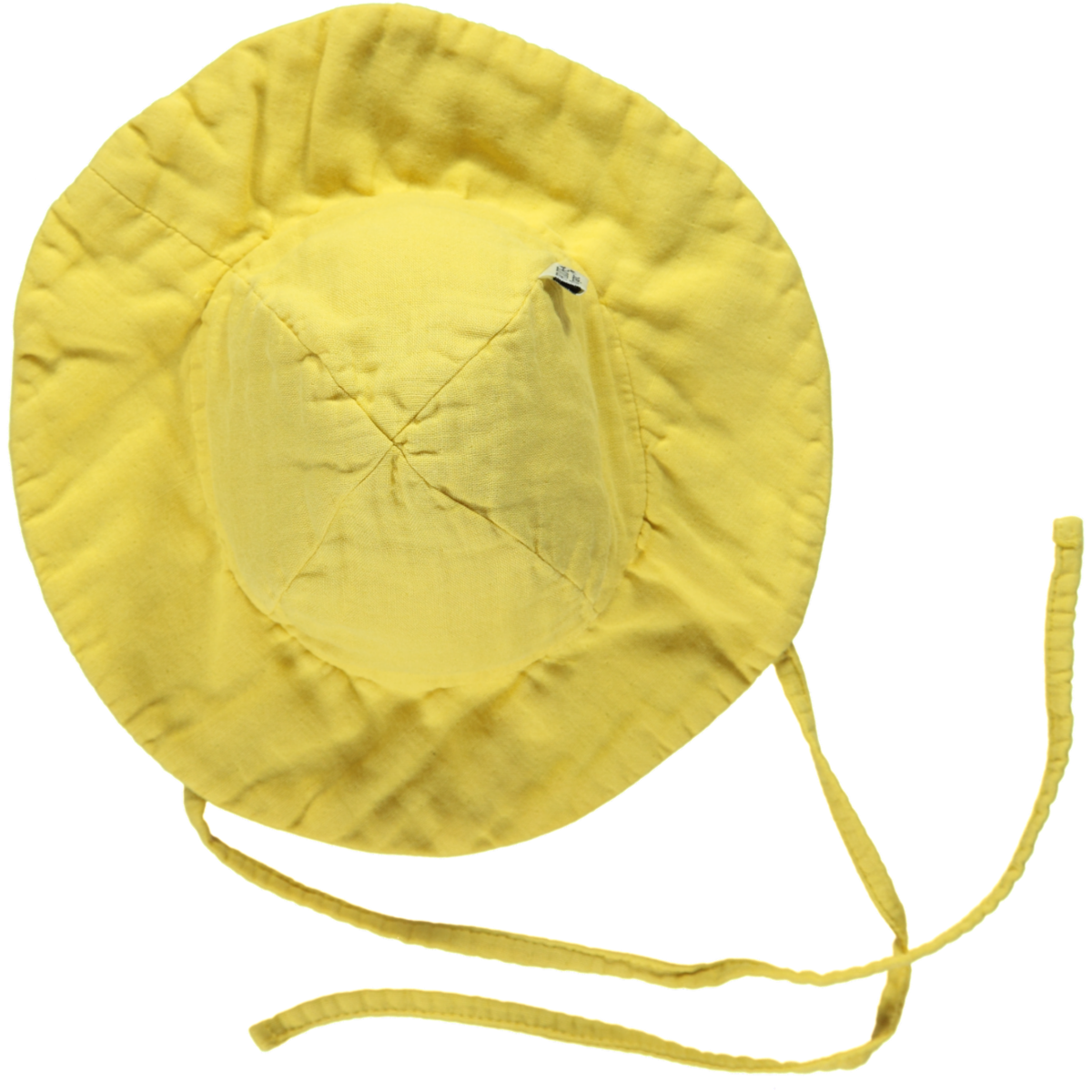 CHAPEAU PIVOINE • [Mimosa]